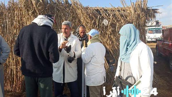 الزراعة تكثف دعمها لصحة الحيوان بـ6.7 ألف ندوة إرشادية بيطرية في يناير