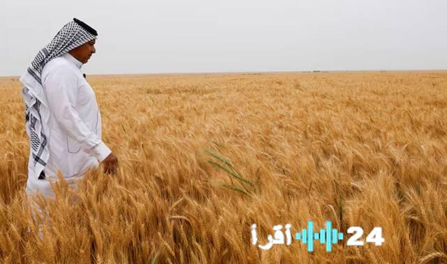 مخزون القمح العراقي مؤمن حتى نهاية عام 2026