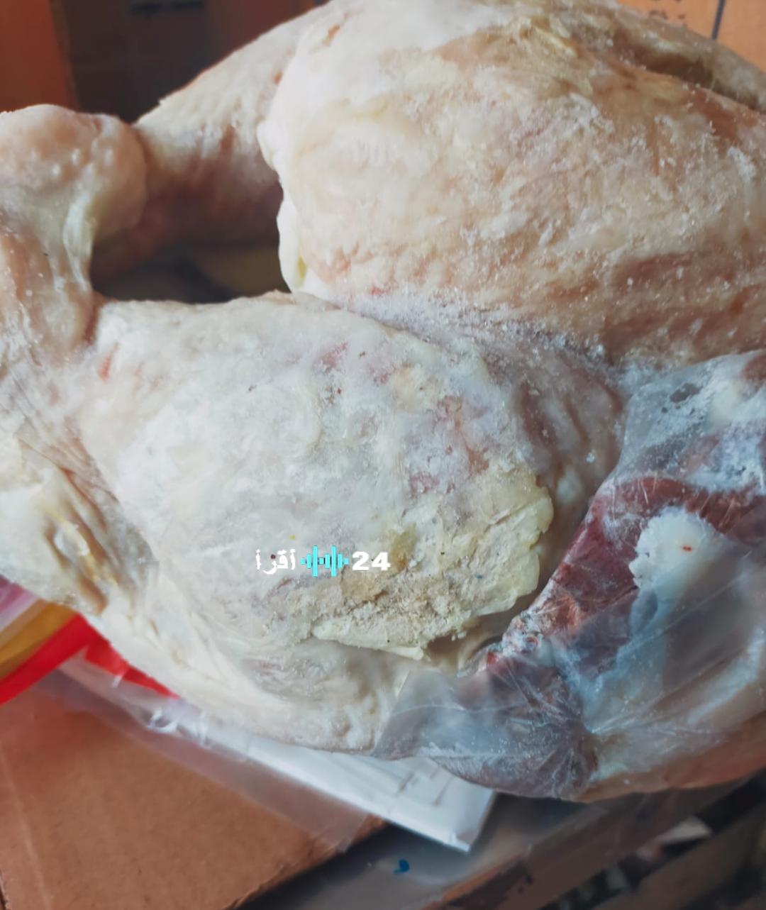 ضبط 6 أطنان من الدواجن المجهولة المصدر في القليوبية قبل وصولها للمستهلكين