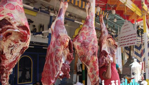 «قفزة جديدة قبل رمضان» أسعار اللحوم في الأسواق ومحال الجزارة اليوم الجمعة 13-2-2026 تشهد ارتفاعًا مفاجئًا في الكندوز والبتلو