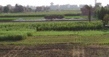 مركز المناخ ينبه المزارعين بضرورة تأجيل ري القمح اليوم نتيجة لزيادة نشاط الرياح