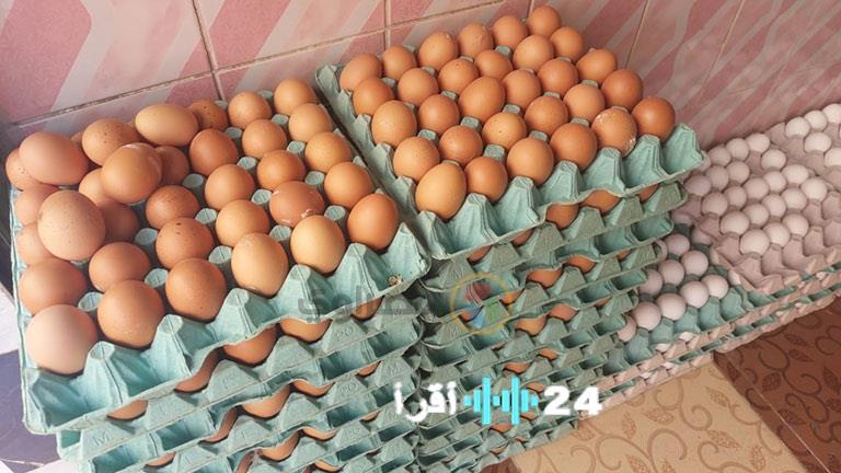 «مفاجأة غذائية قبل رمضان: سعر طبق البيض يصل إلى 105 جنيه في معرض المتحف الزراعي مع استقرار أسعار الفراخ والبيض»