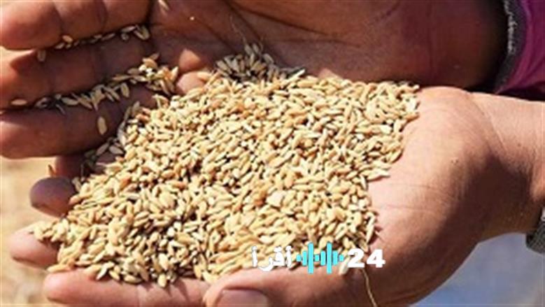 «استمتع بمعلوماتك الغذائية..» أسعار الأرز الشعير والسلع الأساسية في السوق المصري اليوم السبت 7 فبراير: تحليل شامل لحركة الأسعار