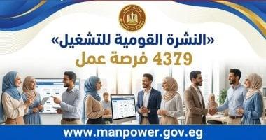وزارة العمل تعلن 4379 فرصة عمل جديدة بـ12 محافظة