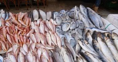 انتعاش سوق السمك في الإسكندرية مع توافر الجمبرى والكابوريا والمرجان والسبيط في فيديو مميز