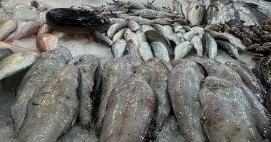 تنوع الأصناف السمكية والإقبال المتزايد على سوق بورسعيد خلال رمضان