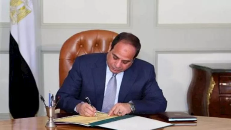 السيسي يبحث الزيادة المحتملة في رواتب موظفي الدولة لعام 2026-2027