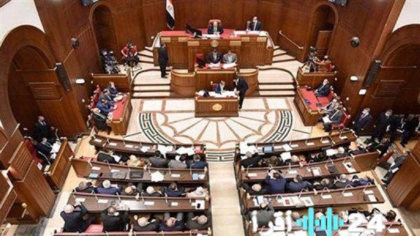 مجلس الشيوخ يناقش تحديات حماية الأطفال الرقمية وتحديث قانون المستشفيات الجامعية