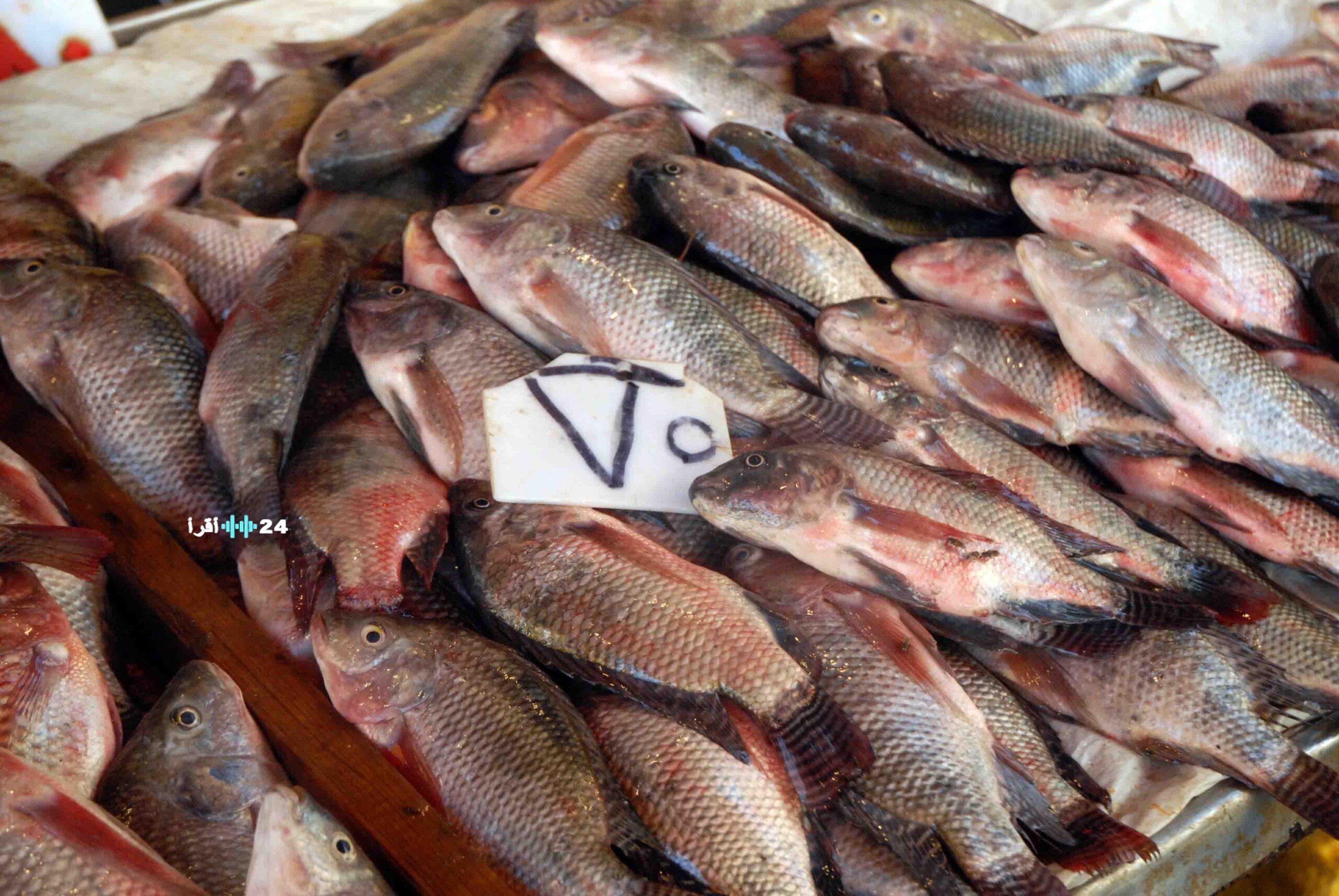 أسعار الأسماك في سوق الإسكندرية اليوم السبت مع آخر تحديثات الطقس وأعمال الصيد