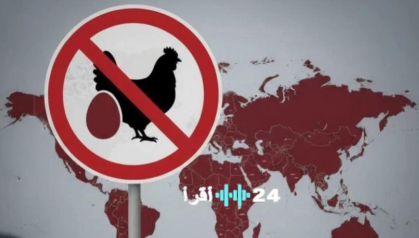 تحذيرات سعودية من شراء أو تناول بيض ودواجن معينة وهيئة الغذاء توضح الأسباب