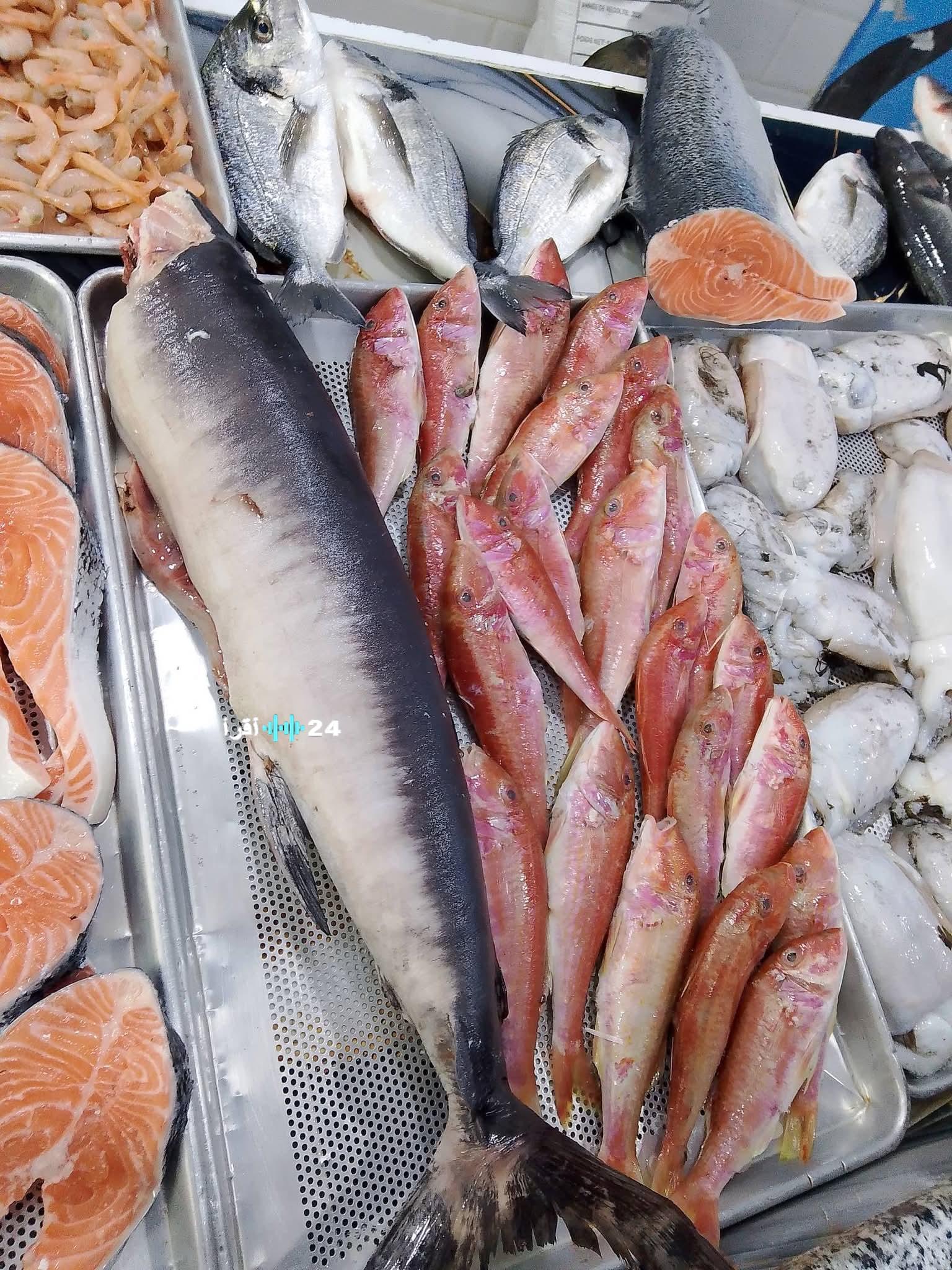 افتتاح حوالي 400 نقطة بيع مباشرة لمنتجات الصيد البحري في مختلف أنحاء الوطن