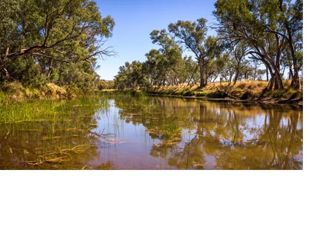 «حيث الزمن يروي حكايات الأرض: نهر فينكي» فينكي الأسترالي: مجرى الزمن الأبدي الذي يكشف أسرار أقدم أنهار الكوكب