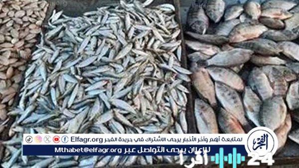 أسعار الأسماك في أسواق أسوان بتاريخ 8 فبراير 2026