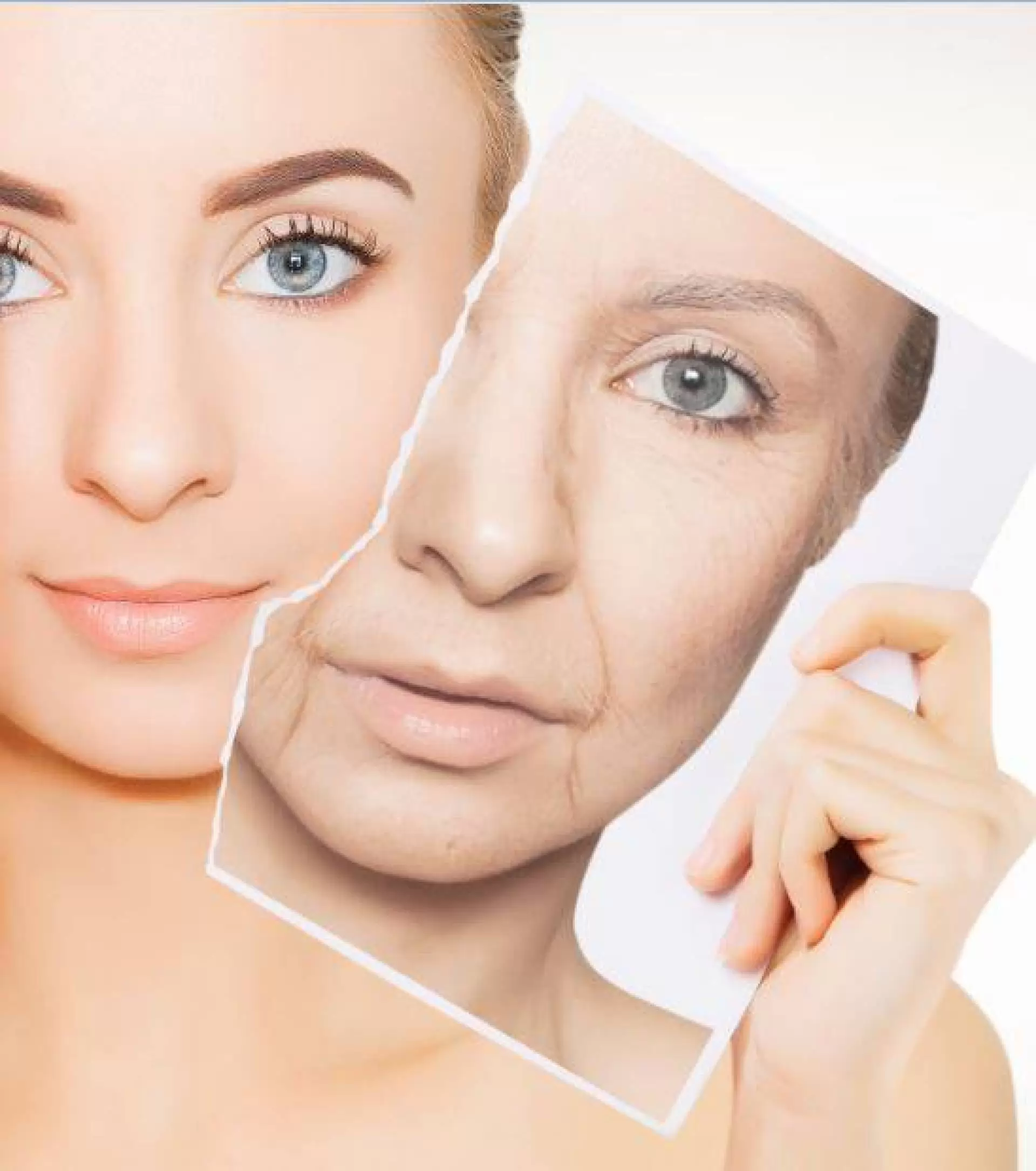 «عندما يتحول الحامي إلى مهدد: سرّ الشيخوخة المبكرة» اكتشاف علمي محوري يكشف: إشارات مناعية “مضللة” تدفع الجسم نحو الشيخوخة المبكرة