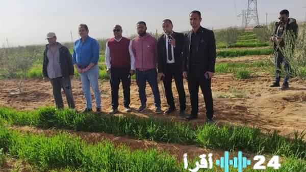 الزراعة تدفع عجلة التنمية بسيناء بالتقنيات المتطورة والإرشاد