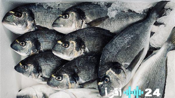 تحديث أسعار السمك في الأسواق اليوم الإثنين 16 فبراير