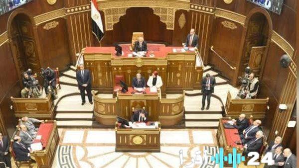 مجلس الشيوخ يطرح حلولًا لدرء مخاطر الإنترنت ومنصات التواصل عن الأطفال