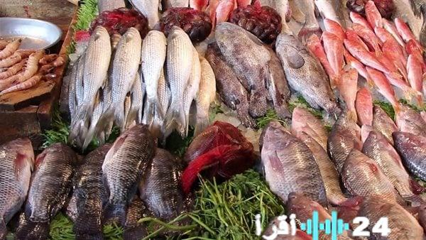 أسعار السمك اليوم في الأسواق تتصدر الأنباء بـ120 جنيهًا للبلطي