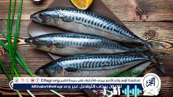 أسعار السمك في أسواق المنيا بتاريخ 15 فبراير 2026