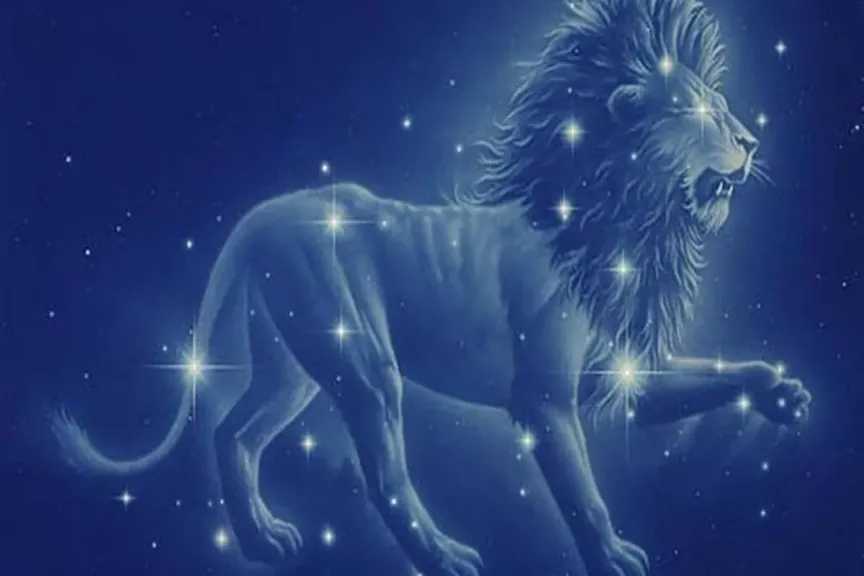 سر الطاقة المتفجرة لمولود الأسد اليوم.. هكذا تكتسح جميع المنافسين