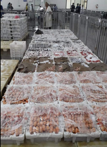 ارتفاع أسعار السمك بسبب اضطراب البحر في سواحل الشمال وتوقعات بركود السوق مع اقتراب رمضان