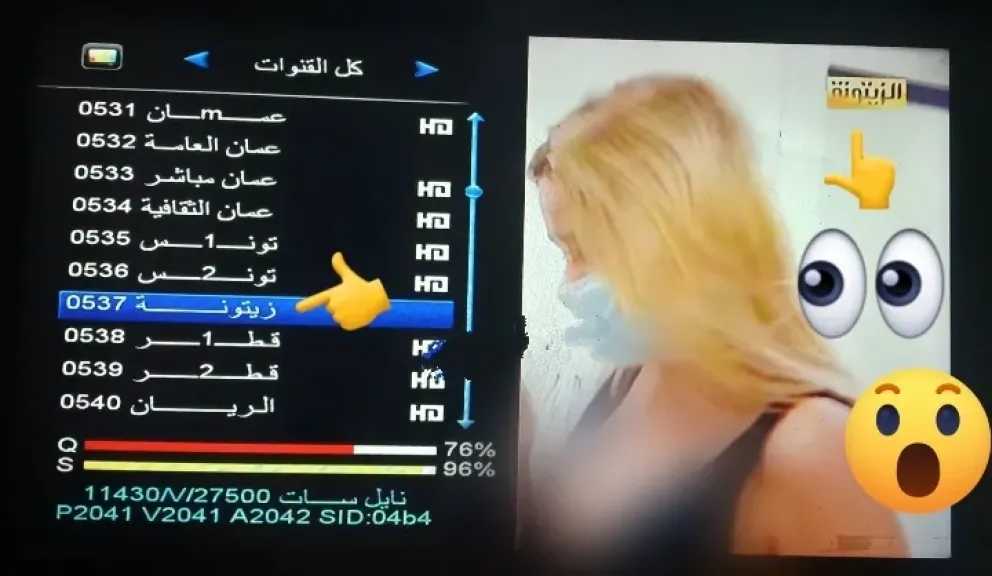 عادت بمحتوى للكبار فقط +18…. تردد قناة الزيتونة الجديد على الأقمار الصناعية