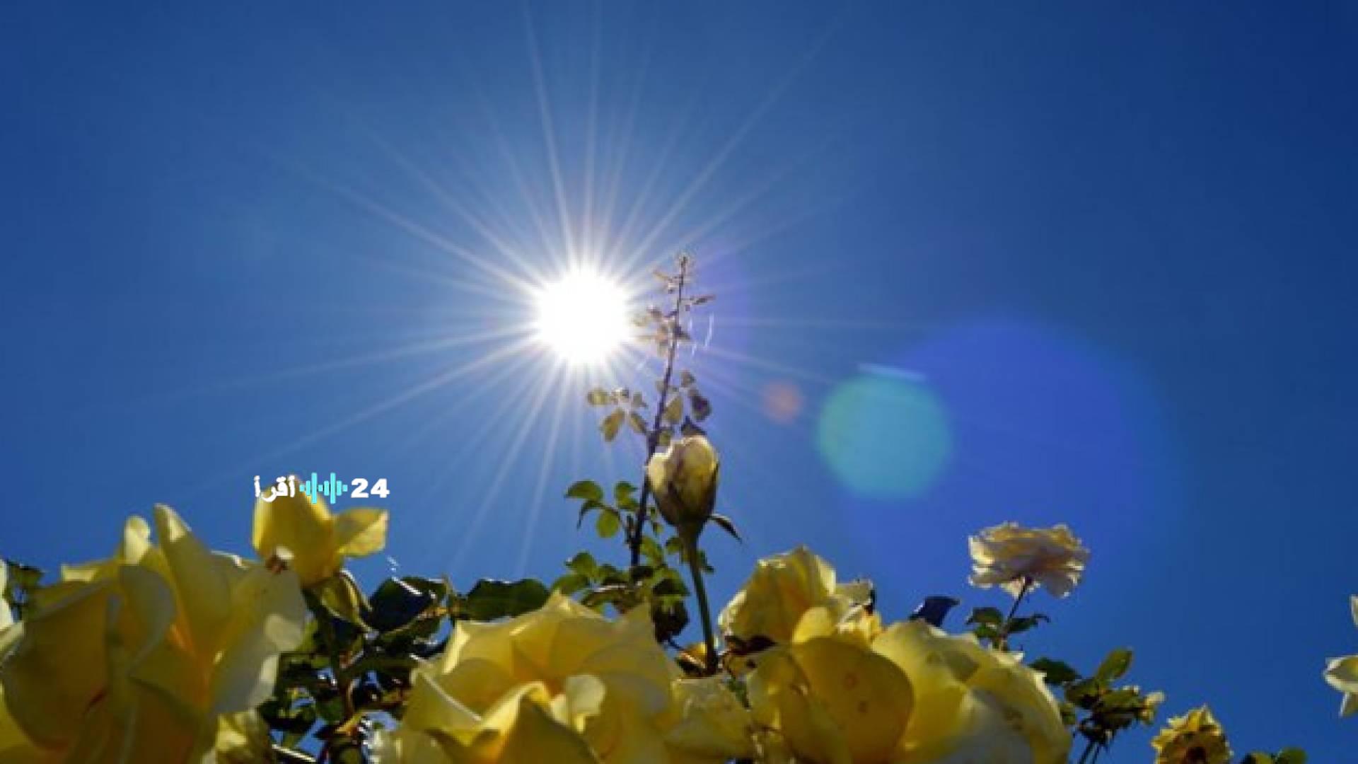 رؤيا الإخباري يكشف تفاصيل حالة الطقس المتوقعة في الأردن للأيام المقبلة