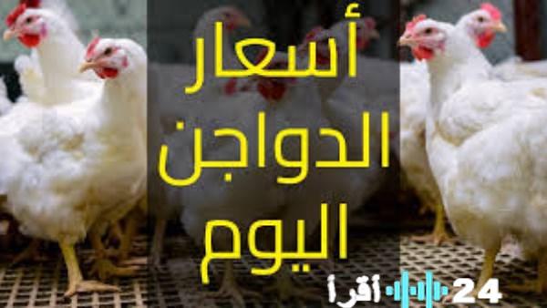 «حصاد السوق اليومي» أسعار الدواجن والبيض تسجل تغييرات ملحوظة في 7 فبراير 2026