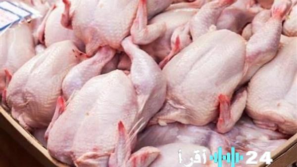 «الحكومة تتصدى لجنون أسعار الدواجن لحماية المواطنين»