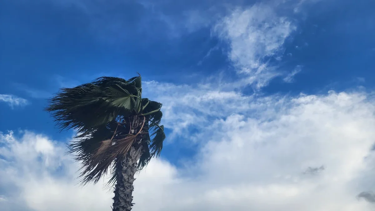 زخات رعدية في شمال الأقاليم الجنوبية وبرد وصقيع في المرتفعات ورياح قوية تؤثر على عدة مناطق