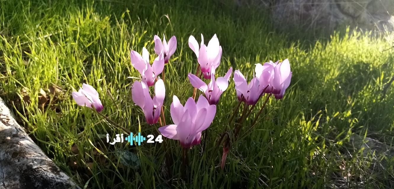 أجواء باردة مستمرة حتى يوم الخميس يتبعها ارتفاع في درجات الحرارة يوم الجمعة