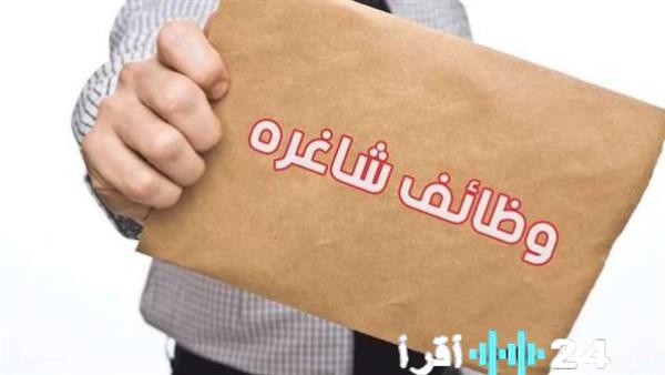 وزارة العمل تعلن عن 4379 وظيفة شاغرة وفرص جديدة مع تفاصيل طريقة التقديم