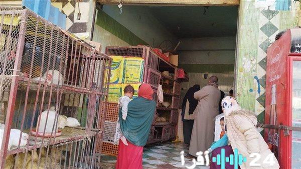 «مائدة رمضان تحت ضغط» ارتفاعات متباينة تضرب أسواق الدواجن ثاني أيام الصيام والبانيه يلامس عتبة 230 جنيها مع ترقب لتصريحات شعبة المنتجات الداجنة