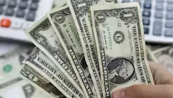 قفزة جديدة للدولار في تعاملات البنوك المصرية