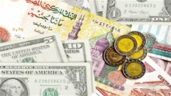 «أسعار صرف العملات الأجنبية مقابل الجنيه المصري ليوم 12 فبراير 2026»