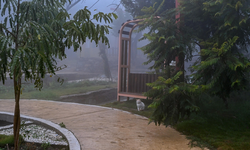 سماء السعودية اليوم أمطار وضباب وغبار