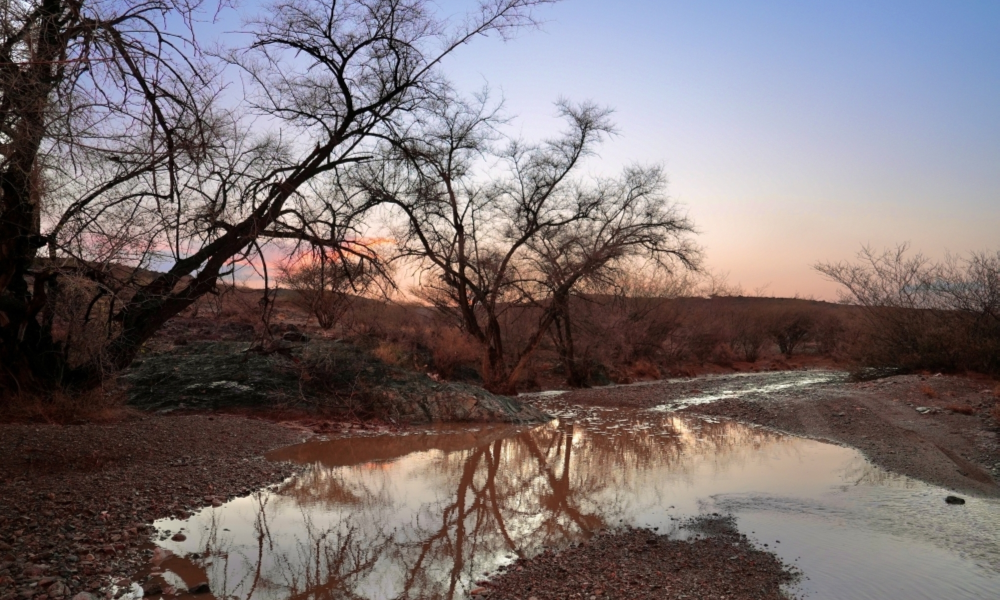 الأرصاد تحذر من أمطار على المرتفعات وضباب وغبار يغطي مناطق عدة