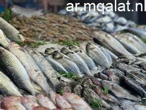 استقرار أسعار السمك في الإسكندرية اليوم مع تسجيل البلطي البرلسي عند 95 جنيهاً