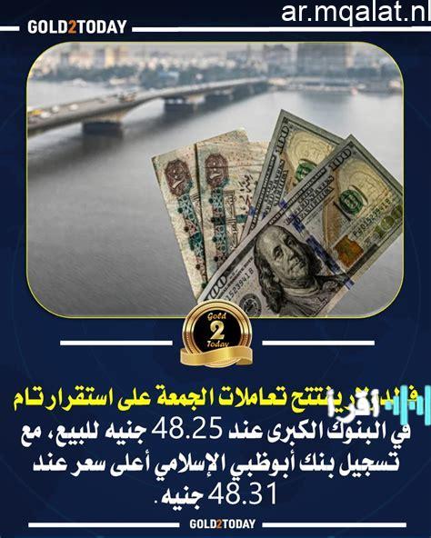 استقرار الدولار يتصدر تعاملات الجمعة المصرفية في مصر