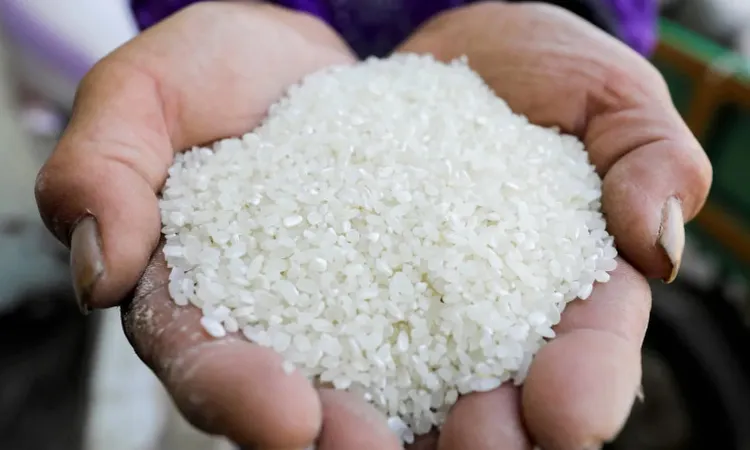 «استقرار أسعار الأرز ينشر الطمأنينة خلال شهر رمضان المبارك»