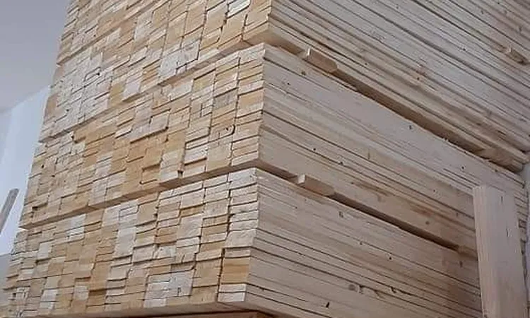 «نقل المصانع يحسن البيئة ويوفر فرصاً للإسكان من خلال استخدام الأخشاب والأثاث»