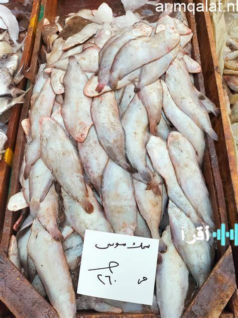 أسعار الأسماك في الأسواق المحلية تتراوح بين 70 جنيهًا للبلطي و30 جنيهًا للبساريا المكساوي