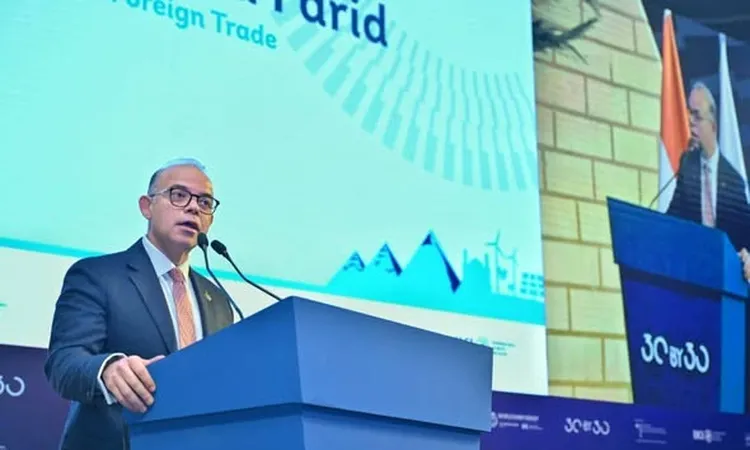 «مصر تشهد انتقالاً نوعياً نحو التنفيذ المؤسسي الكامل لمنظومة التمويل المستدام»  وزير الاستثمار يبرز أهمية المرحلة الجديدة