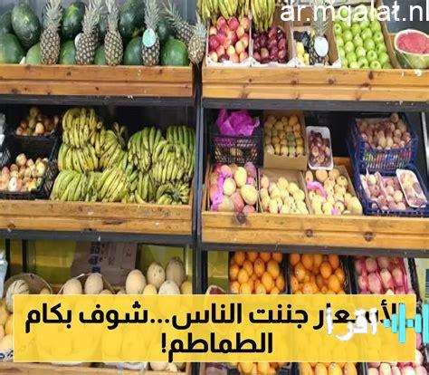 أسعار الطماطم الحالية في مقالات نيوز