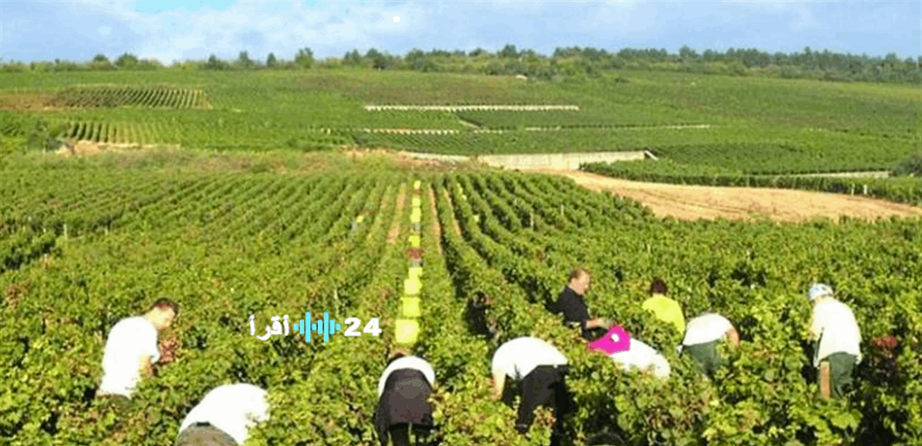 «مرآة الواقع الاقتصادي» القرارات الضريبية تعمق الجدل هل هي رصاصة رحمة بجيوب الفقراء أم استنزاف جديد