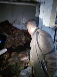 محافظة الجيزة تستثمر جهودها لضبط 42 طنًا من اللحوم والدواجن الفاسدة لتعزيز سلامة الغذاء