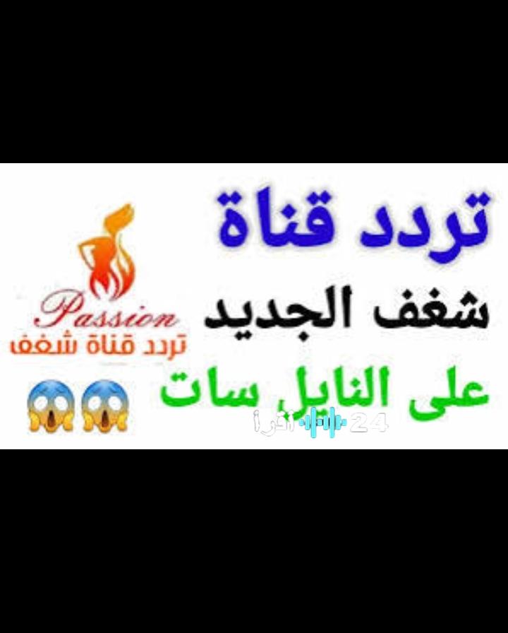 شغف 2026 انطلاق التردد الجديد ومحتوى برامجي حصري للكبار فقط