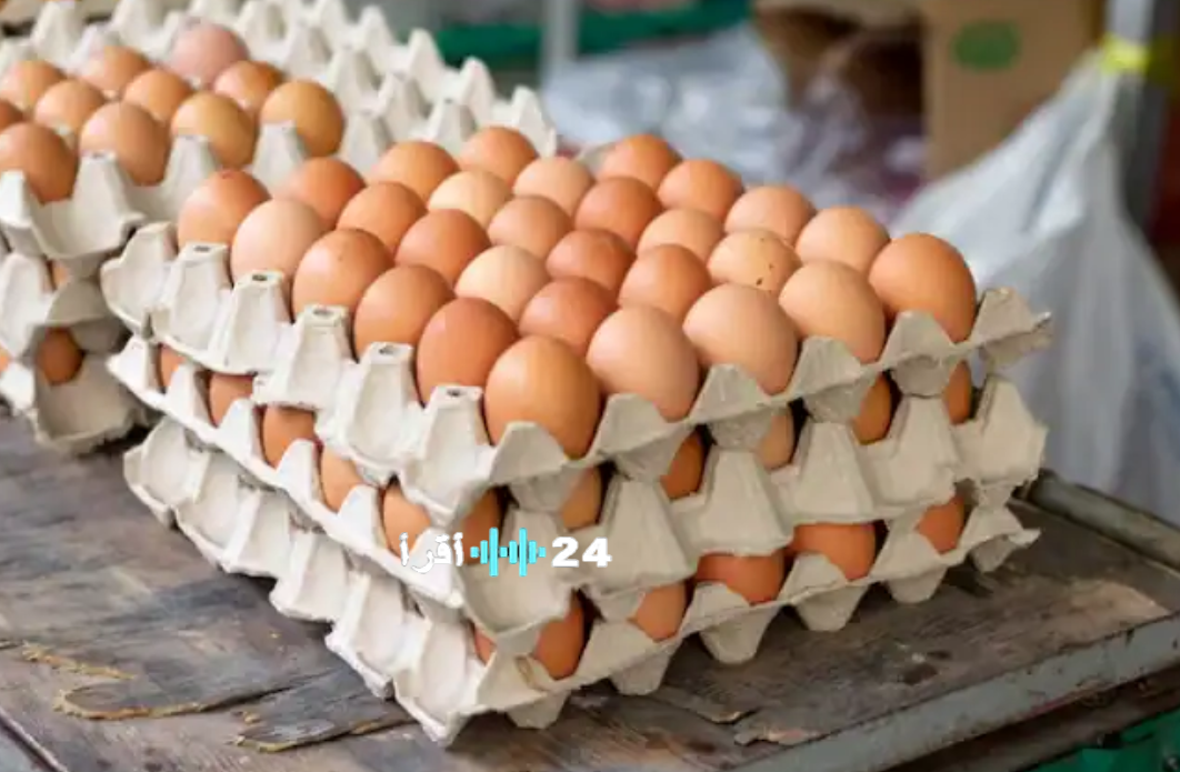 أسعار كرتونة البيض اليوم السبت 1 فبراير 2026 في الأسواق المصرية متابعة لحظة بلحظة