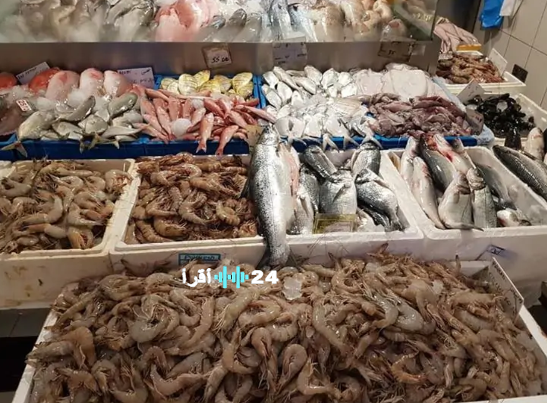 أسعار الأسماك اليوم الأحد 1 فبراير 2026 في سوق العبور وأسواق التجزئة