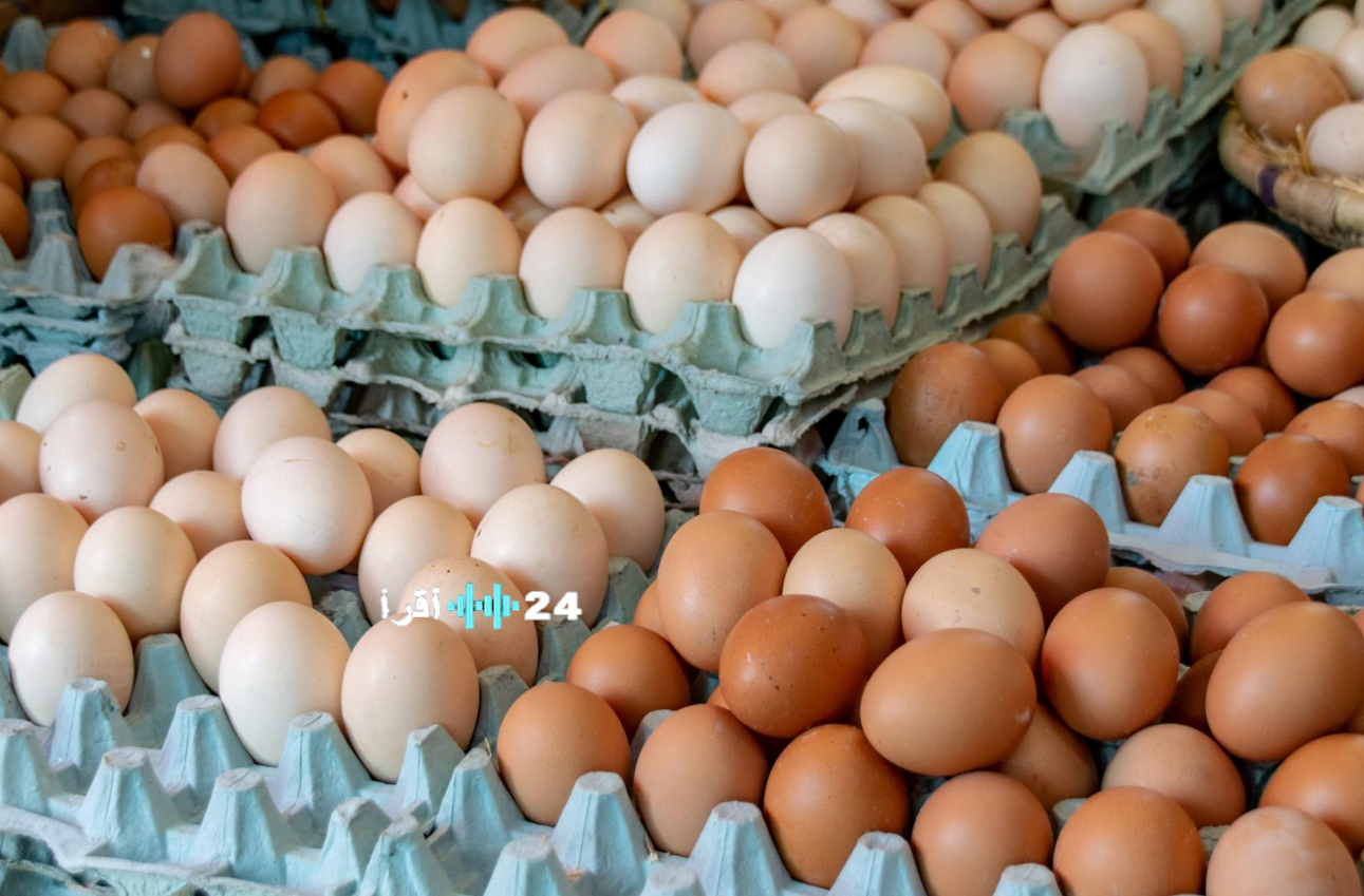 النهاردة كم سعر كرتونة البيض في مصر السبت 14 فبراير 2026